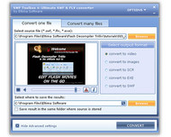 FLV to MPEG Converter screenshot